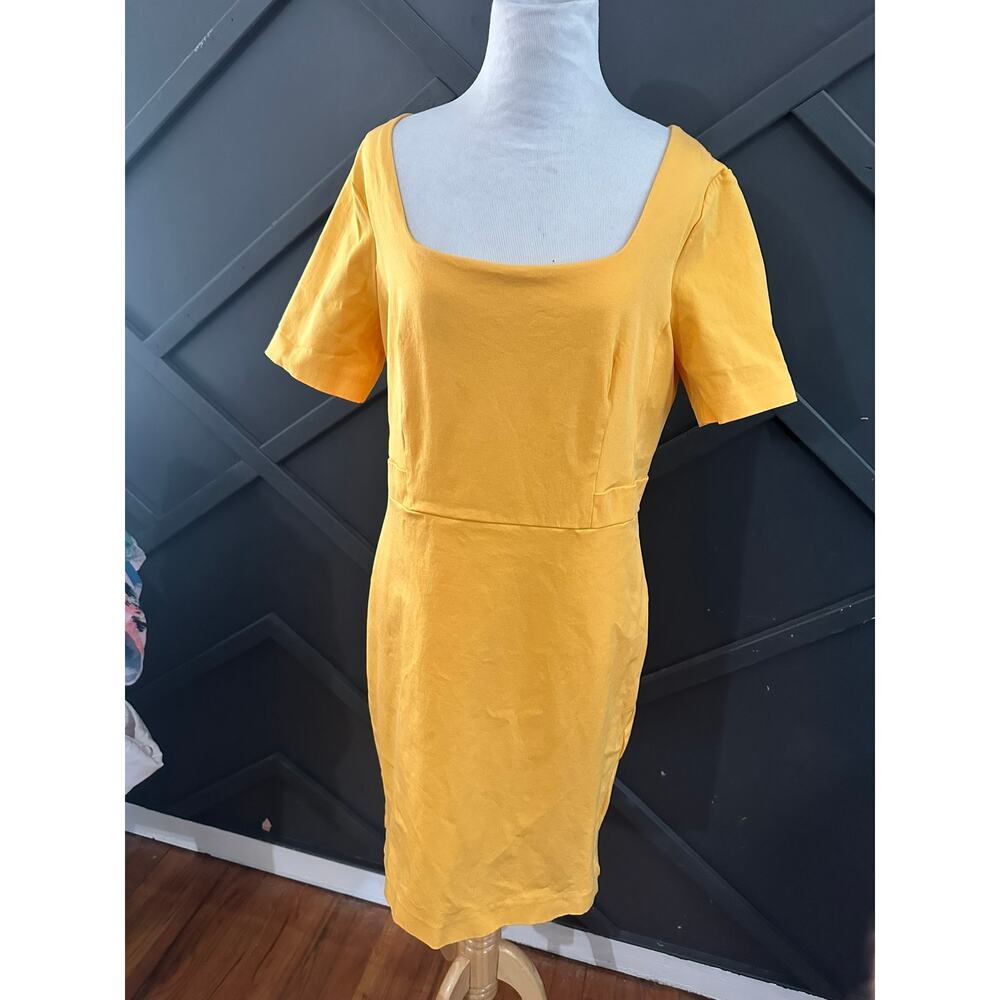 size 14 Ann Taylor Scoop Neck dress